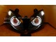 2012 - 2016 650 650R EX650 V2 HID BiXenon Projector headlights kit with dual angel eyes halo
